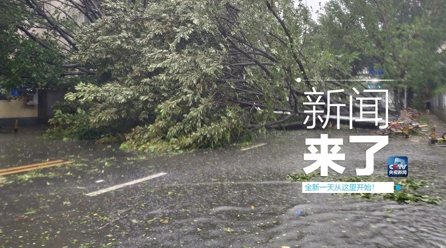 “山竹”怒過，高空塔吊你還好嗎？